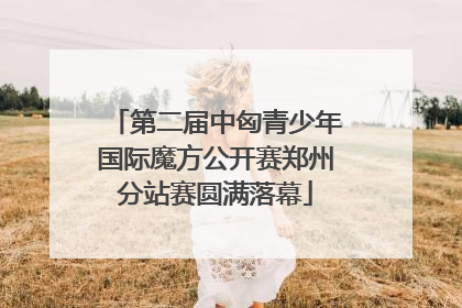 第二届中匈青少年国际魔方公开赛郑州分站赛圆满落幕