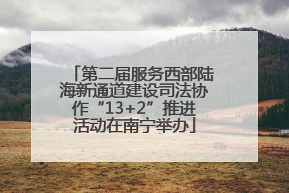 第二届服务西部陆海新通道建设司法协作“13+2”推进活动在南宁举办