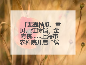 翡翠桔瓜、雪贝、红铃铛、金寿桃……上海市农科院开启“缤纷蔬菜之约”