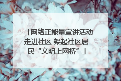 网络正能量宣讲活动走进社区 架起社区居民“文明上网桥”