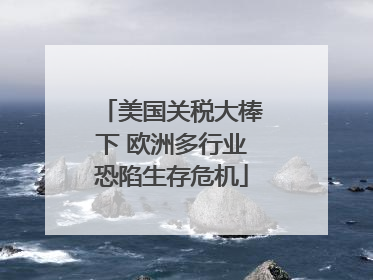 美国关税大棒下 欧洲多行业恐陷生存危机