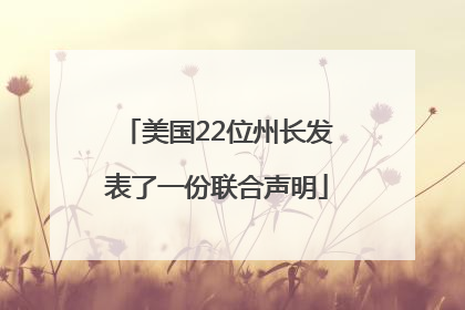 美国22位州长发表了一份联合声明