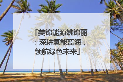 美锦能源姚锦丽：深耕氢能蓝海，领航绿色未来