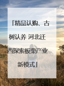 精品认购、古树认养 河北迁西探索板栗产业新模式