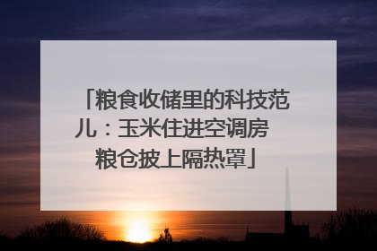 粮食收储里的科技范儿：玉米住进空调房 粮仓披上隔热罩