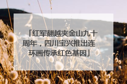 红军翻越夹金山九十周年，四川宝兴推出连环画传承红色基因