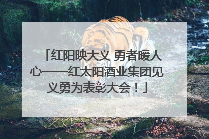 红阳映大义 勇者暖人心——红太阳酒业集团见义勇为表彰大会！