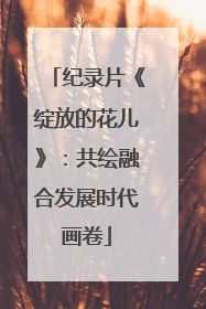 纪录片《绽放的花儿》：共绘融合发展时代画卷