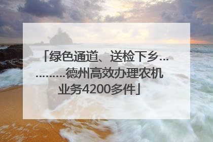 绿色通道、送检下乡…………德州高效办理农机业务4200多件