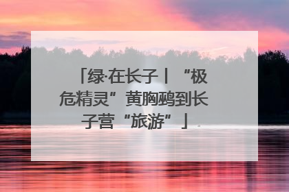 绿·在长子丨“极危精灵”黄胸鹀到长子营“旅游”