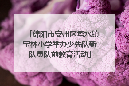 绵阳市安州区塔水镇宝林小学举办少先队新队员队前教育活动