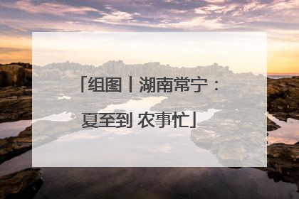 组图丨湖南常宁：夏至到 农事忙