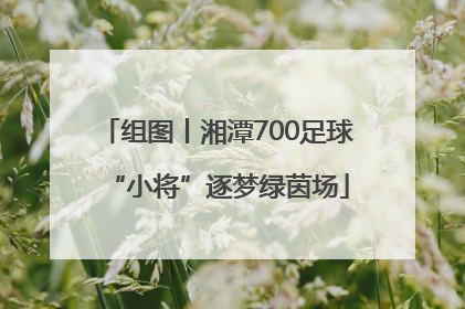 组图丨湘潭700足球“小将”逐梦绿茵场