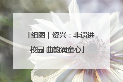 组图｜资兴：非遗进校园 曲韵润童心