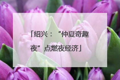 绍兴：“仲夏奇趣夜”点燃夜经济