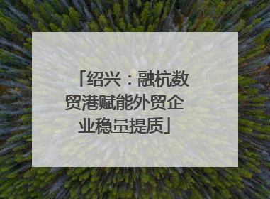 绍兴：融杭数贸港赋能外贸企业稳量提质
