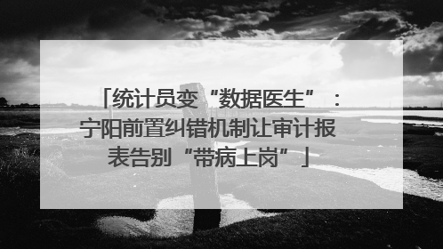 统计员变“数据医生”：宁阳前置纠错机制让审计报表告别“带病上岗”