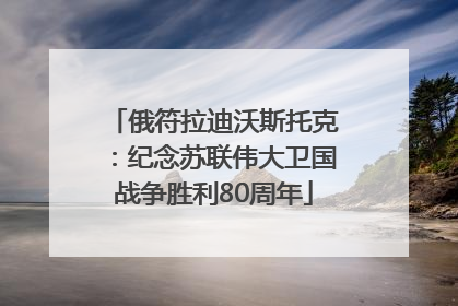 俄符拉迪沃斯托克：纪念苏联伟大卫国战争胜利80周年