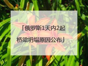 俄罗斯1天内2起桥梁坍塌原因公布