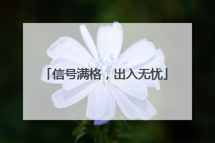 信号满格，出入无忧