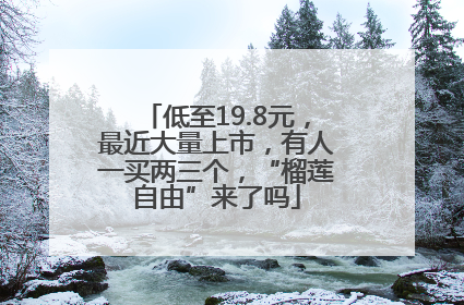 低至19.8元，最近大量上市，有人一买两三个，“榴莲自由”来了吗