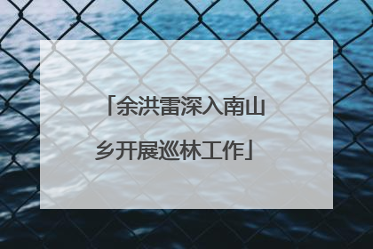 余洪雷深入南山乡开展巡林工作