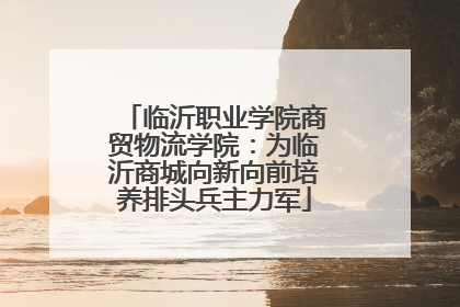 临沂职业学院商贸物流学院：为临沂商城向新向前培养排头兵主力军
