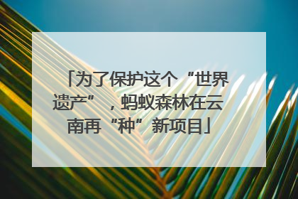 为了保护这个“世界遗产”，蚂蚁森林在云南再“种”新项目