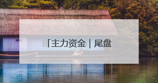 主力资金｜尾盘主力抢筹股来了