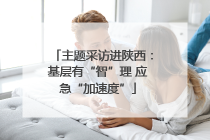 主题采访进陕西：基层有“智”理 应急“加速度”
