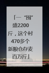 一“囤”盛2200斤，这个村470多个新粮仓存麦百万斤