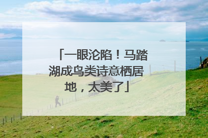 一眼沦陷！马踏湖成鸟类诗意栖居地，太美了
