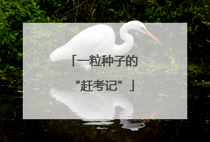 一粒种子的“赶考记”