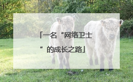 一名“网络卫士”的成长之路