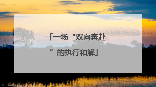 一场“双向奔赴”的执行和解