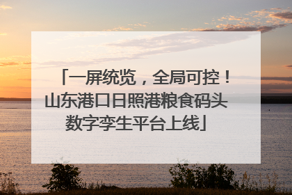 一屏统览，全局可控！山东港口日照港粮食码头数字孪生平台上线
