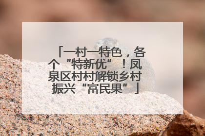 一村一特色，各个“特新优”！凤泉区村村解锁乡村振兴“富民果”