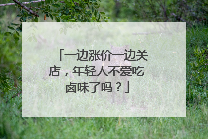 一边涨价一边关店，年轻人不爱吃卤味了吗？