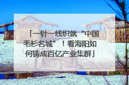 一针一线织就“中国毛衫名城”！看海阳如何铸成百亿产业集群