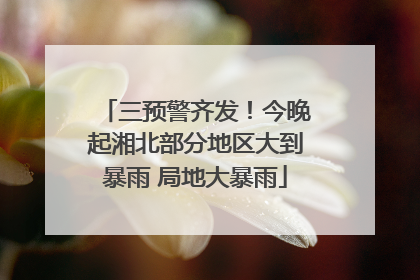 三预警齐发！今晚起湘北部分地区大到暴雨 局地大暴雨
