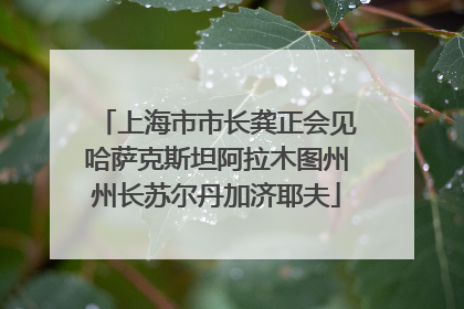 上海市市长龚正会见哈萨克斯坦阿拉木图州州长苏尔丹加济耶夫