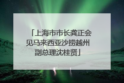 上海市市长龚正会见马来西亚沙捞越州副总理沈桂贤