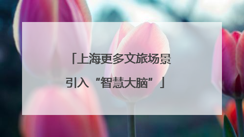 上海更多文旅场景引入“智慧大脑”