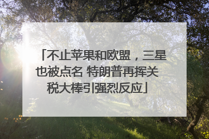 不止苹果和欧盟，三星也被点名 特朗普再挥关税大棒引强烈反应