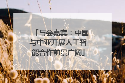 与会嘉宾：中国与中亚开展人工智能合作前景广阔