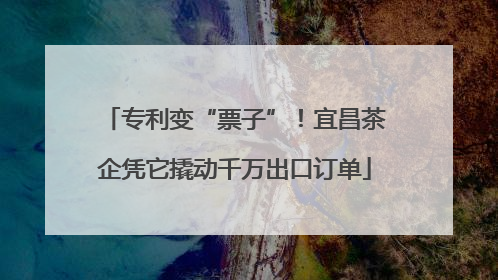 专利变“票子”！宜昌茶企凭它撬动千万出口订单