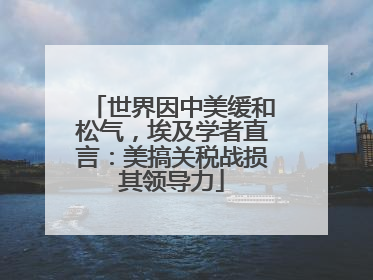 世界因中美缓和松气，埃及学者直言：美搞关税战损其领导力