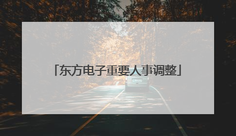 东方电子重要人事调整