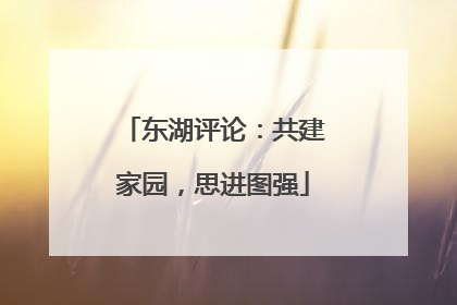 东湖评论：共建家园，思进图强