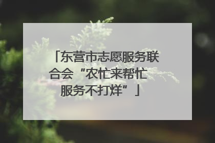 东营市志愿服务联合会“农忙来帮忙 服务不打烊”
